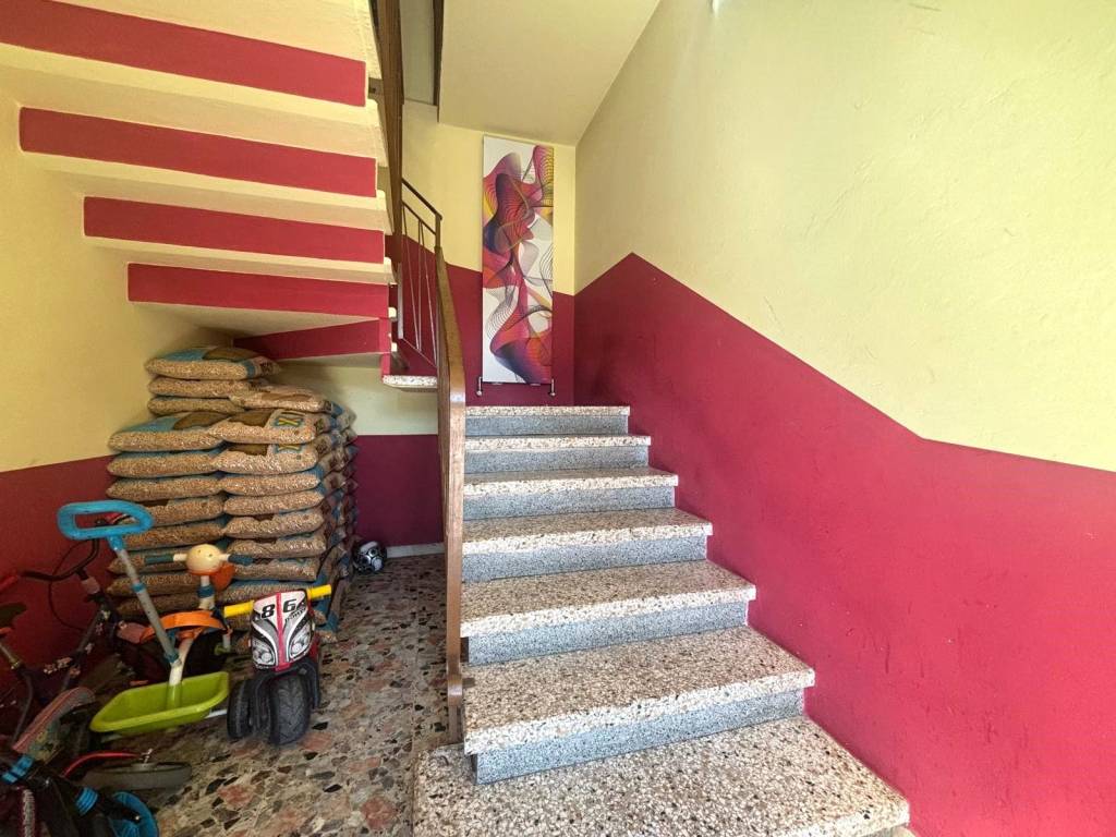 immagine annuncio 3 di 14