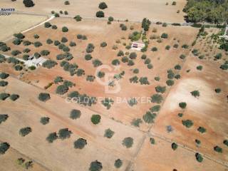 Terreno agricolo in vendita a caltagirone contrada vaccarizzo