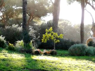 Terreno agricolo in affitto a roma via di castel fusano, 174