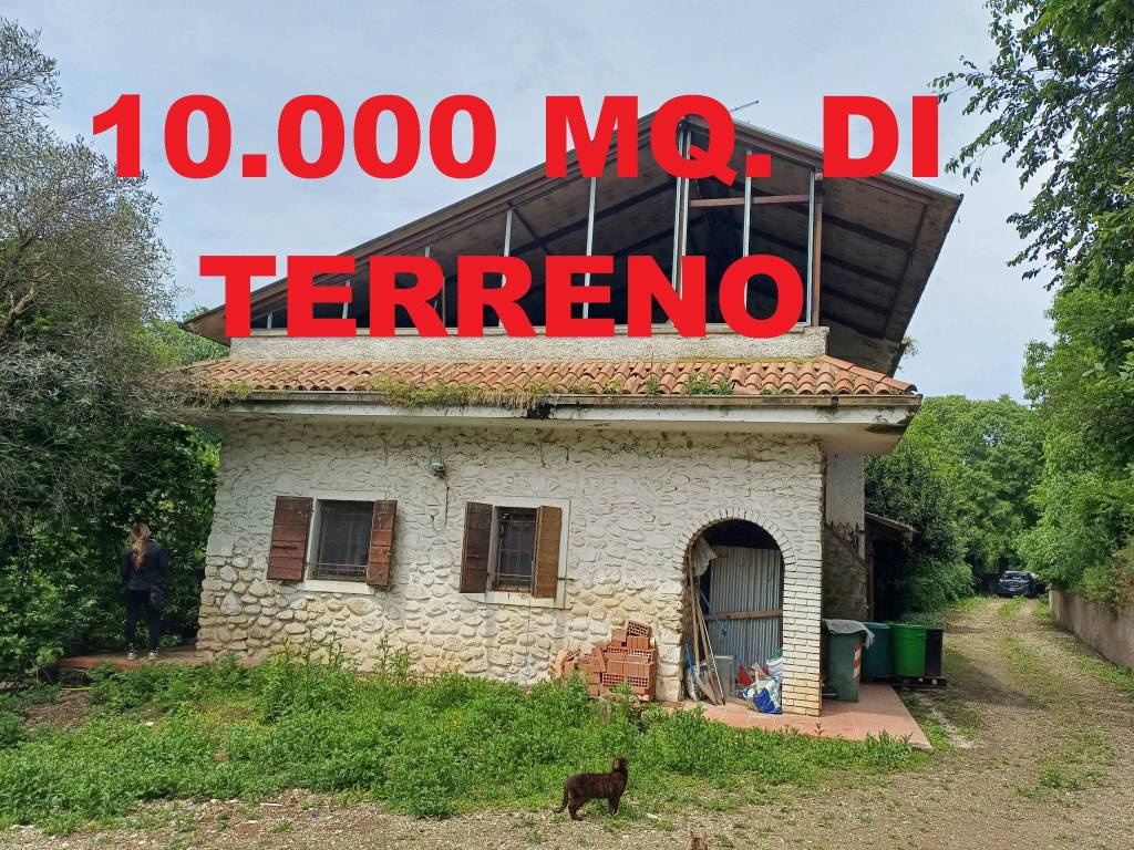 immagine annuncio 2 di 9