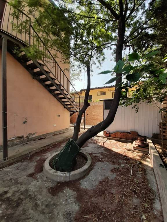 immagine annuncio 9 di 13