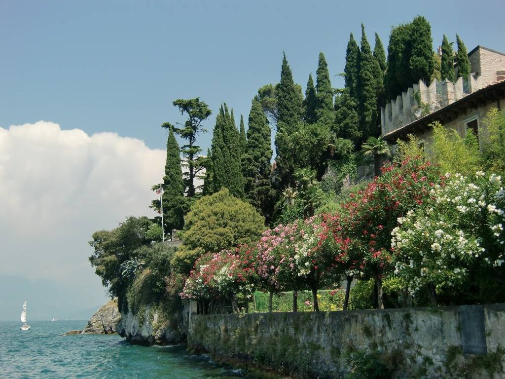 immagine annuncio 6 di 12