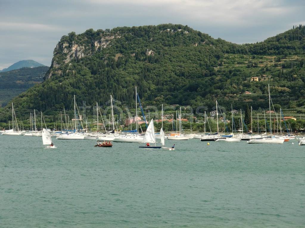 immagine annuncio 7 di 12