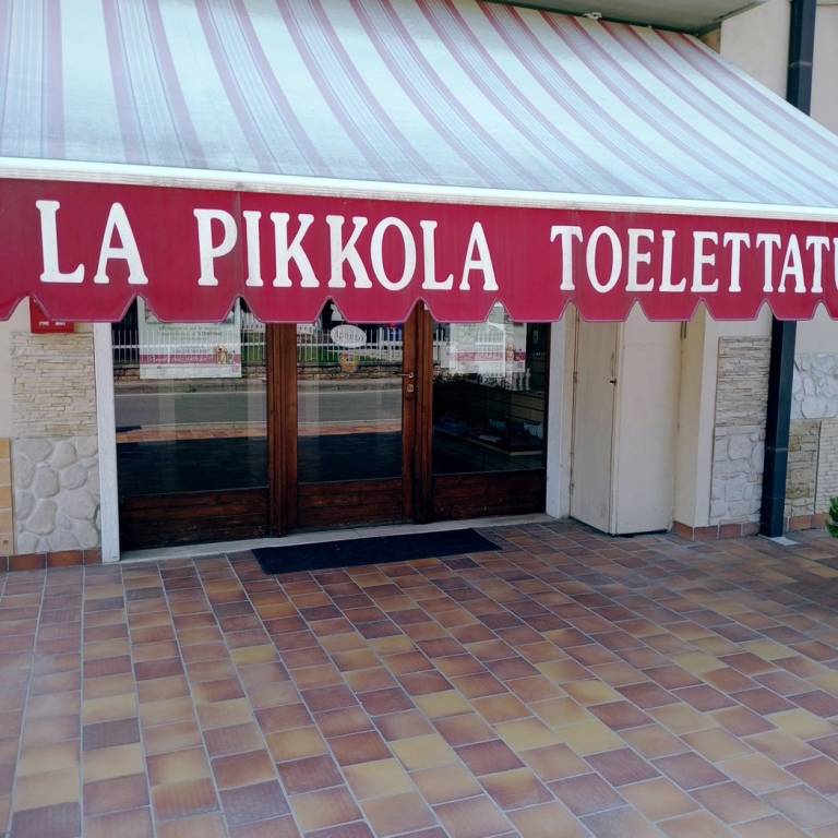 immagine annuncio 2 di 7