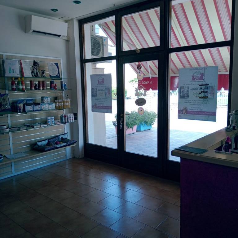 immagine annuncio 4 di 7