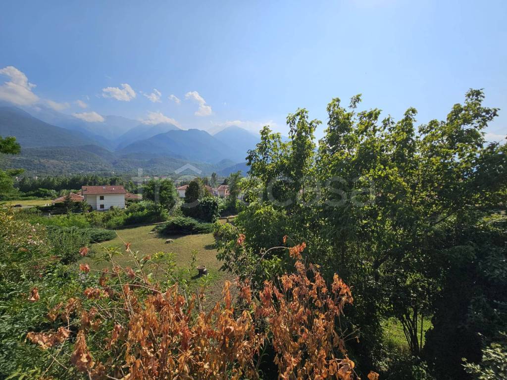 immagine annuncio 3 di 14
