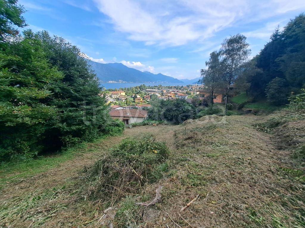 immagine annuncio 5 di 6