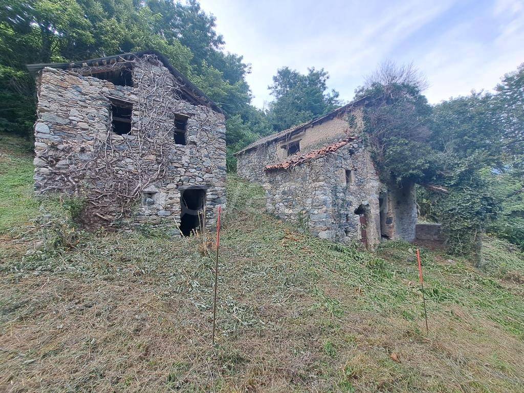 immagine annuncio 1 di 6