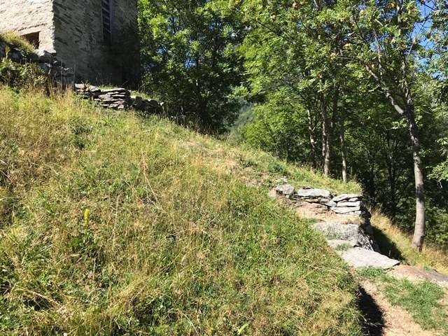 immagine annuncio 3 di 12