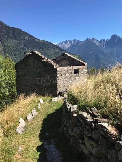 immagine annuncio 10 di 12