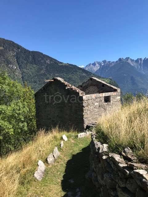 immagine annuncio 11 di 12