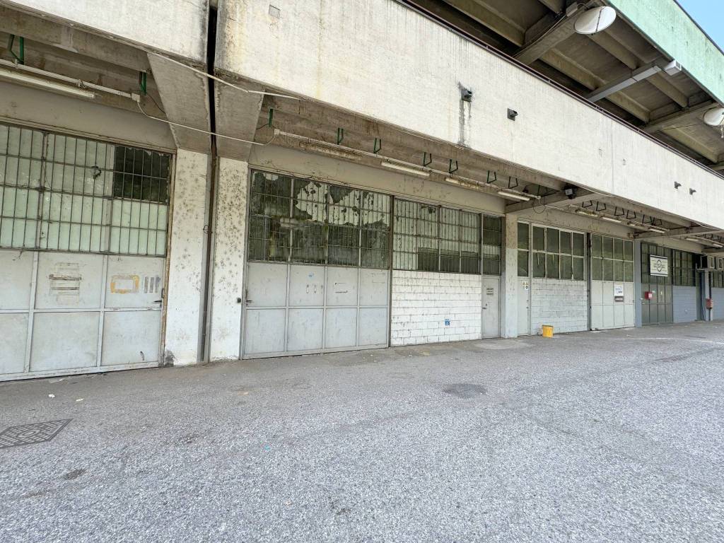 immagine annuncio 2 di 4