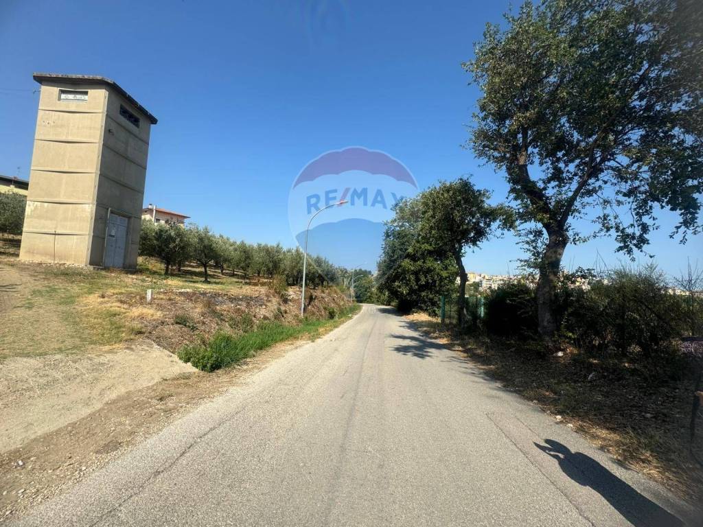 immagine annuncio 3 di 8