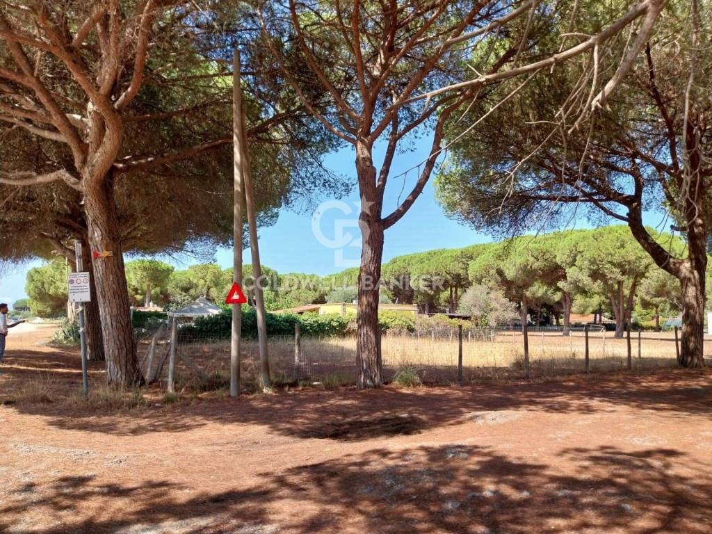 immagine annuncio 3 di 8