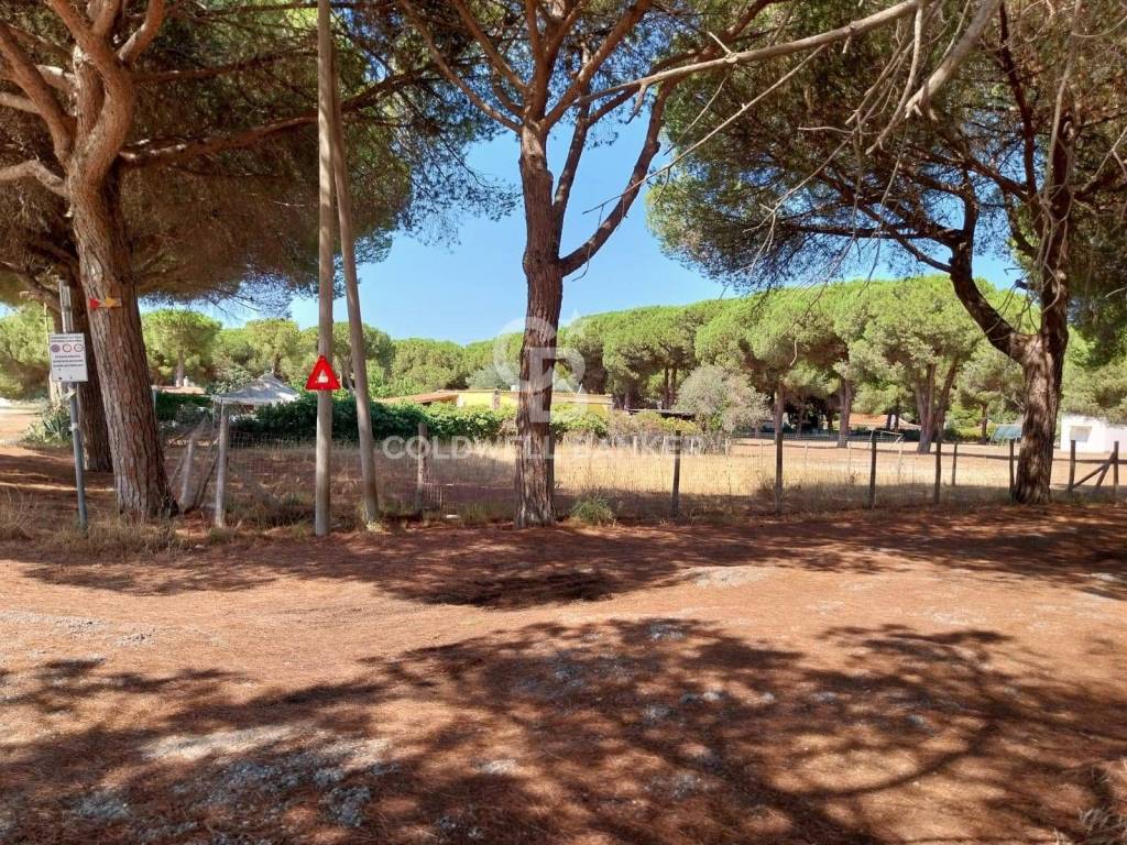 immagine annuncio 6 di 8