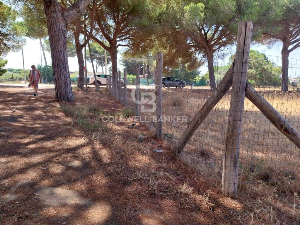 immagine annuncio 7 di 8