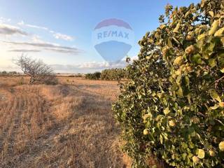 Terreno agricolo in vendita a noto c.da vignale coffa