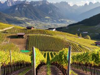 Terreno agricolo in vendita a egna 