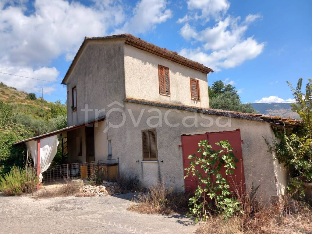 immagine annuncio 10 di 12