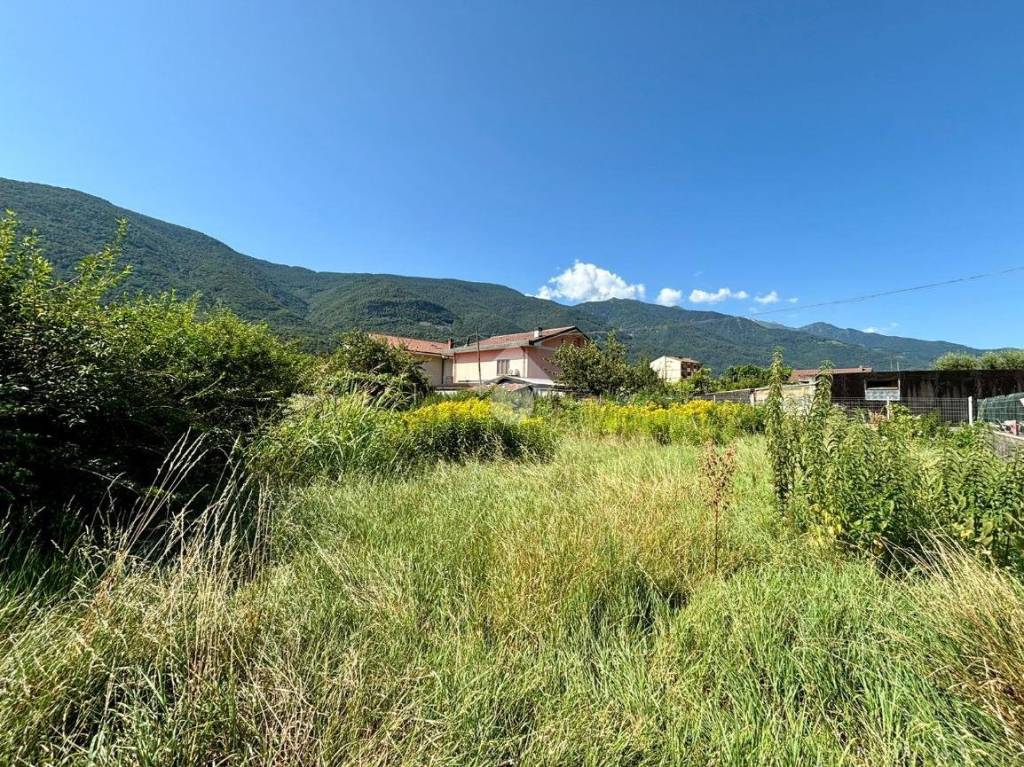 immagine annuncio 1 di 4