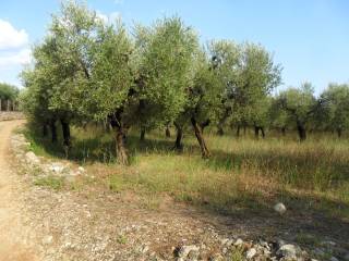 Terreno agricolo in vendita a formia via le starze