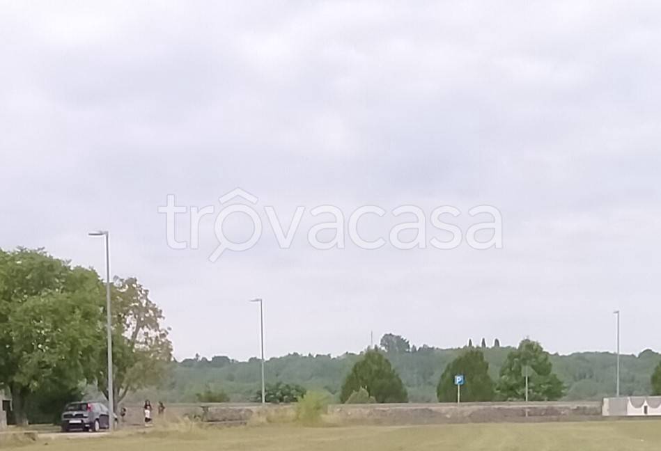 immagine annuncio 1 di 2
