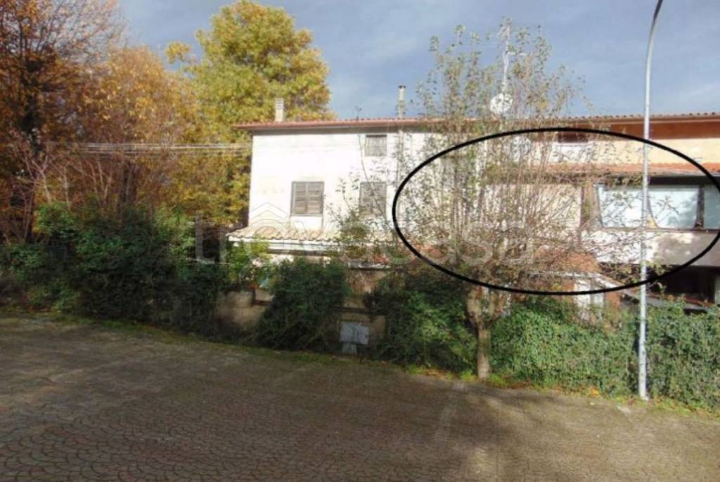 immagine annuncio 1 di 12