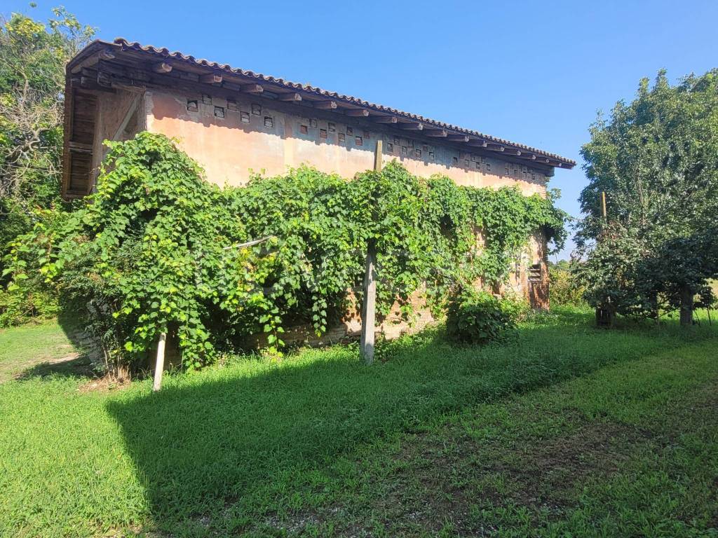 immagine annuncio 1 di 13