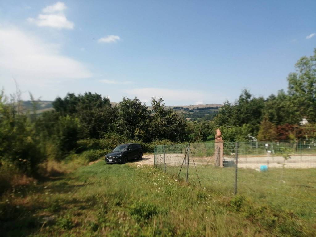 immagine annuncio 5 di 6