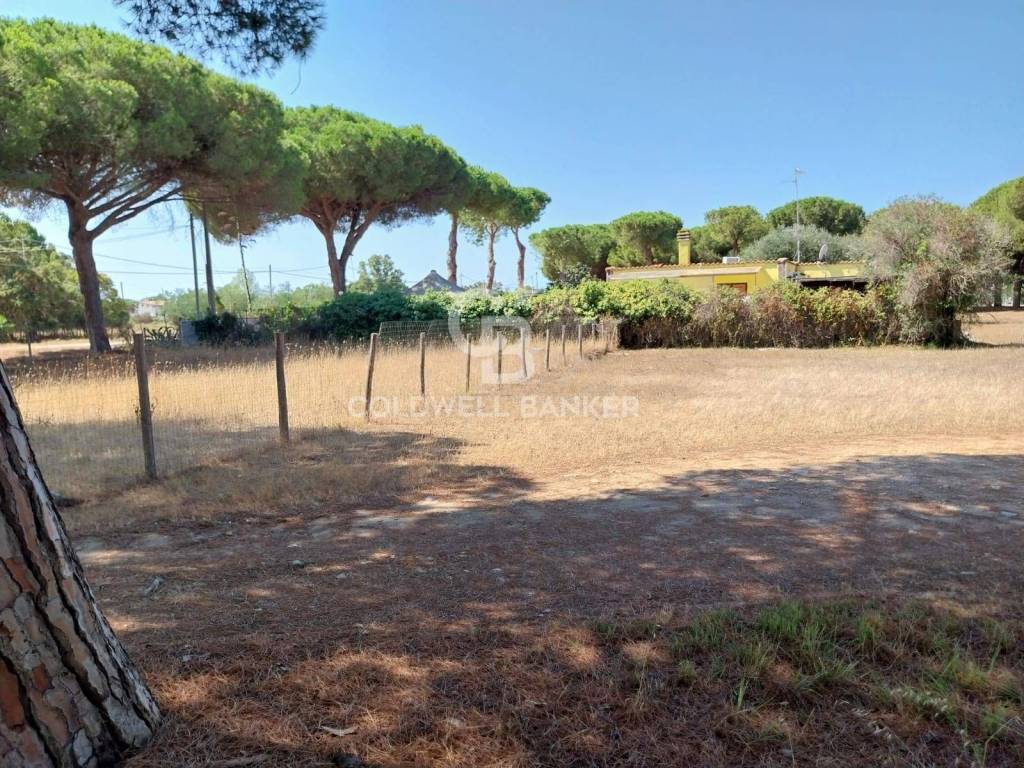 immagine annuncio 4 di 8
