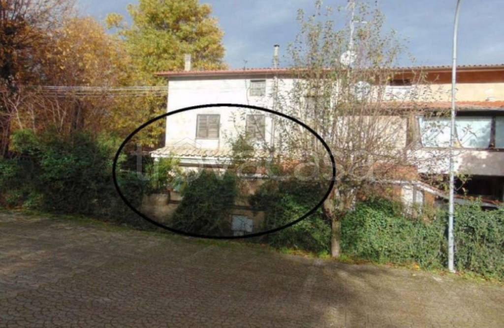 immagine annuncio 1 di 14