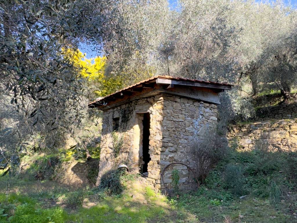 immagine annuncio 11 di 15