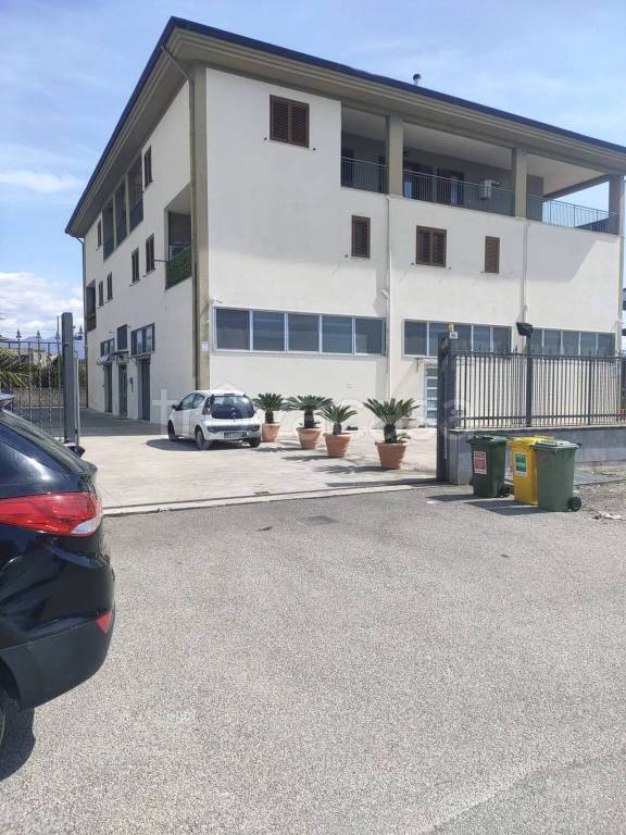 immagine annuncio 2 di 8