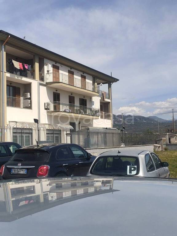 immagine annuncio 4 di 8