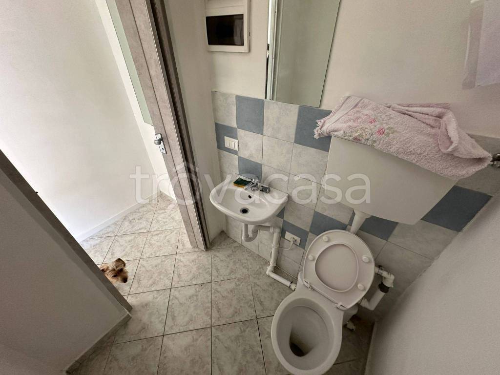 immagine annuncio 9 di 12