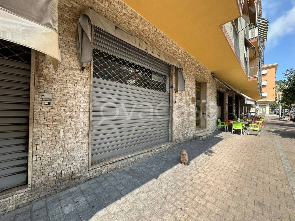 immagine annuncio 11 di 12