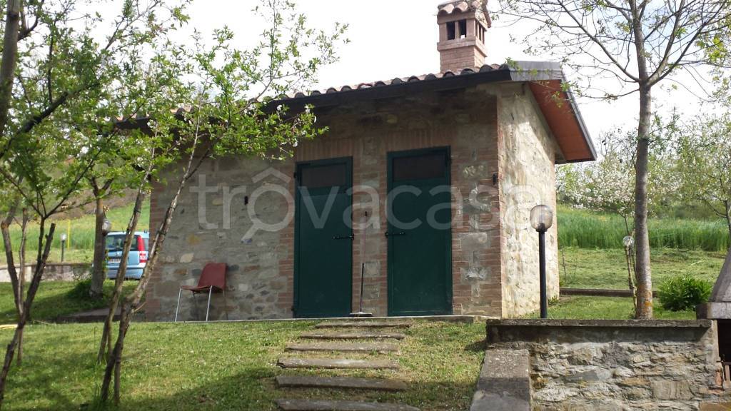 immagine annuncio 7 di 9