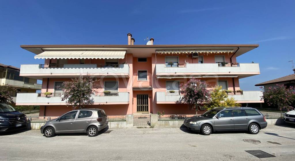 immagine annuncio 1 di 14