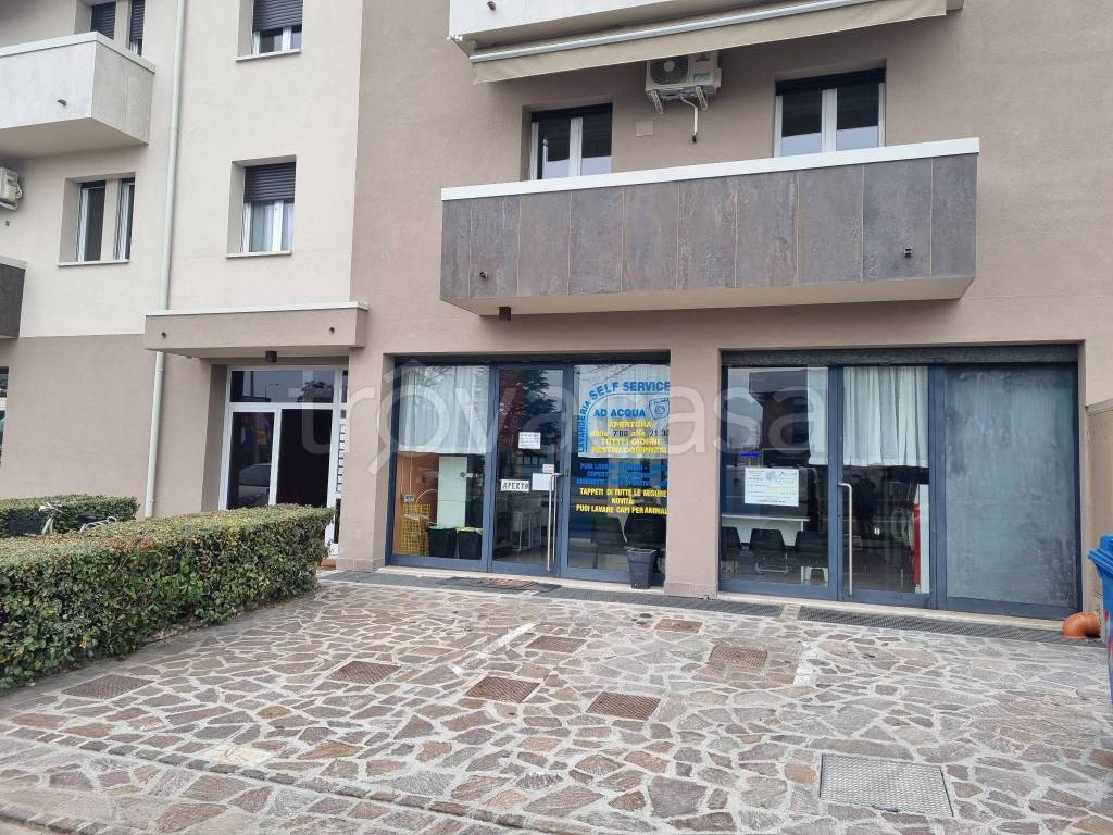 immagine annuncio 3 di 8