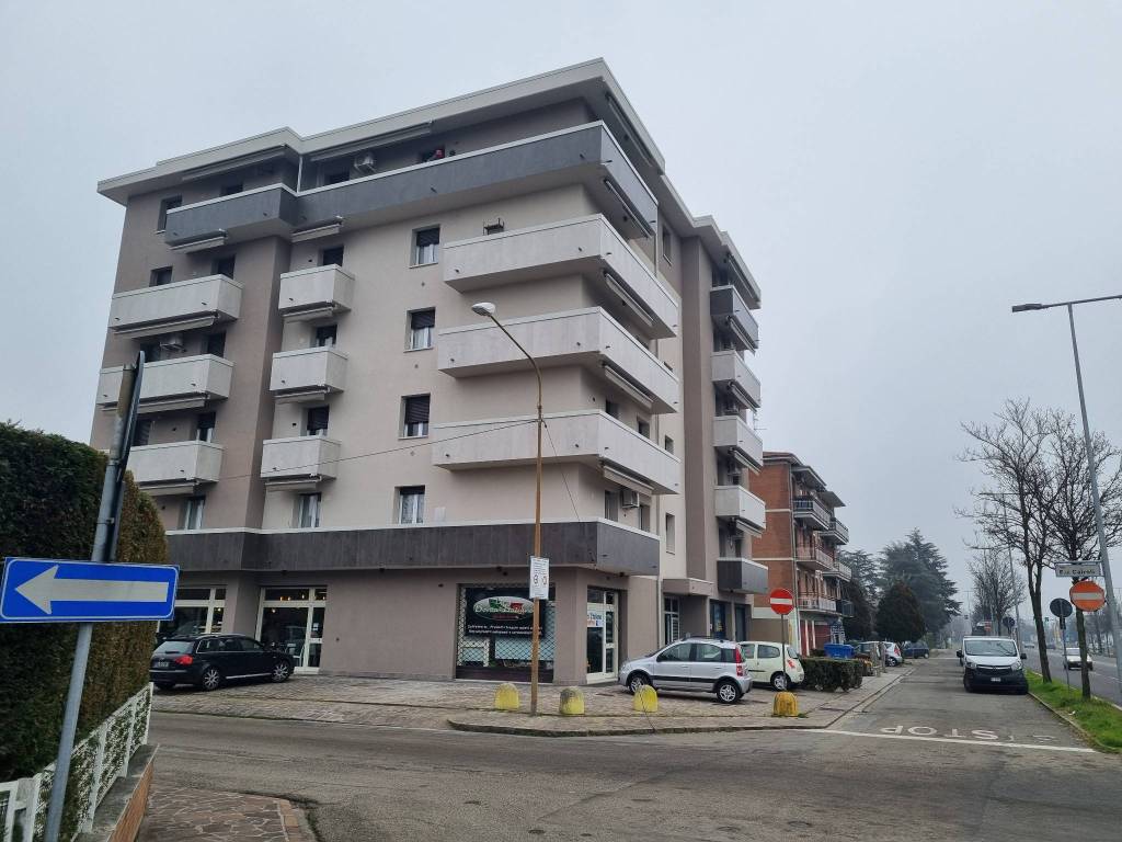 immagine annuncio 1 di 8