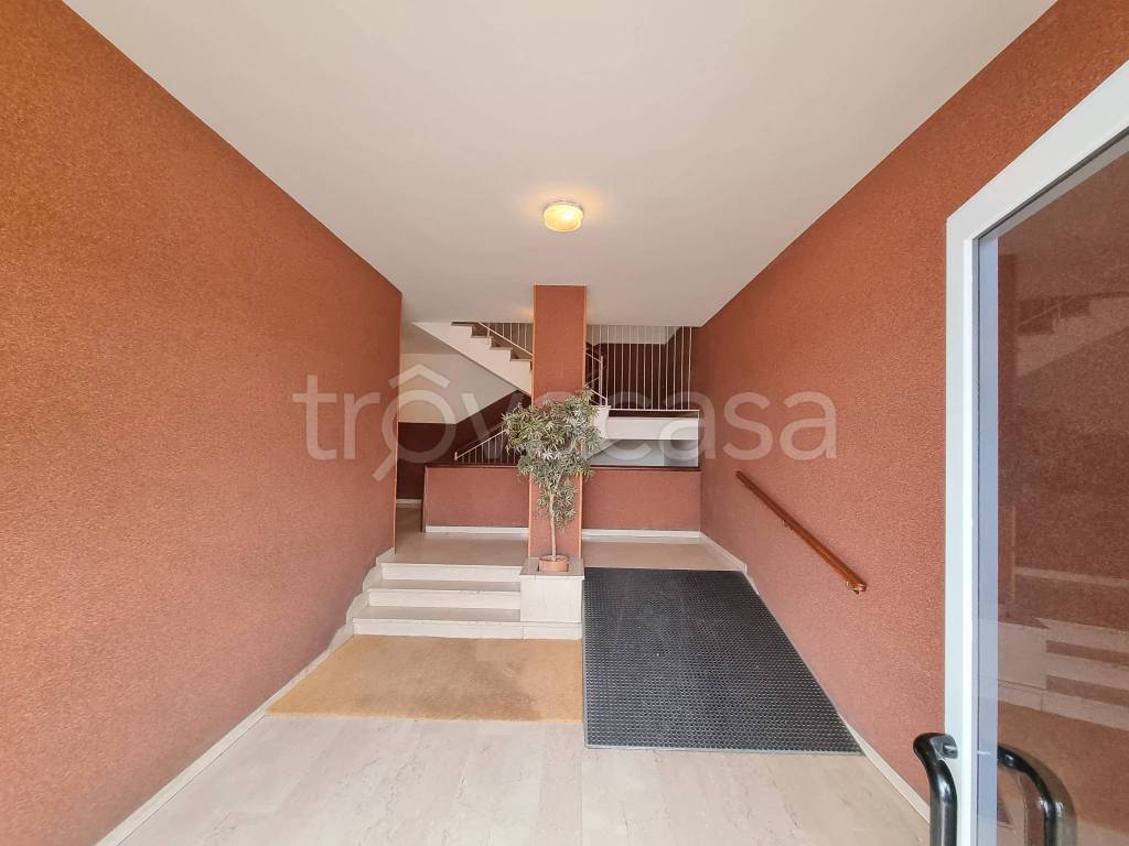 immagine annuncio 7 di 8