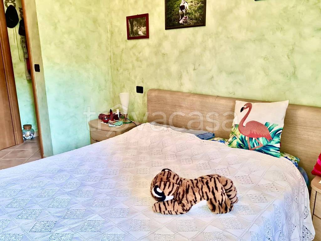 immagine annuncio 9 di 14