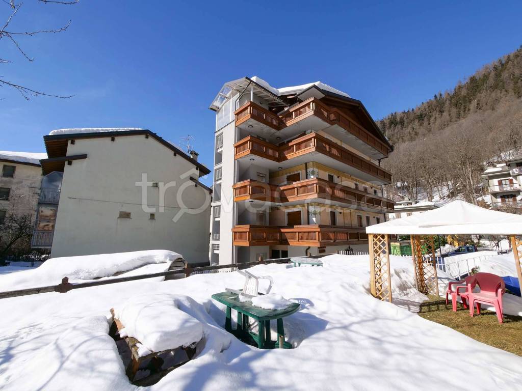 immagine annuncio 6 di 15