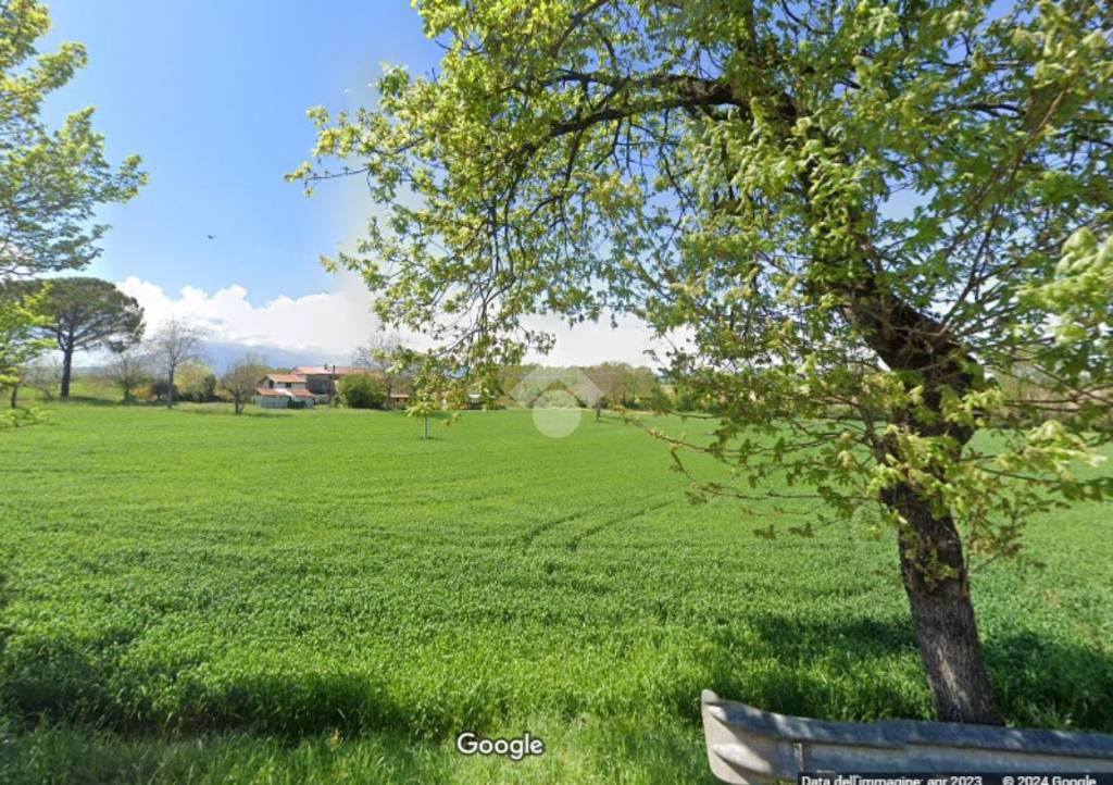 immagine annuncio 3 di 11