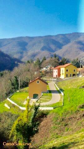 immagine annuncio 4 di 7