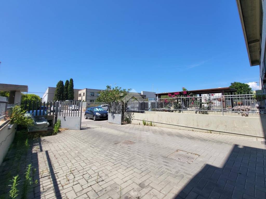 immagine annuncio 3 di 13