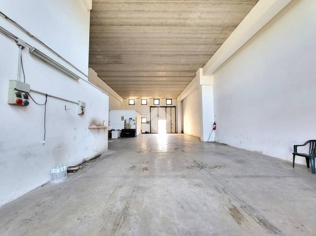 immagine annuncio 1 di 13