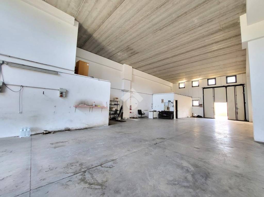 immagine annuncio 4 di 13