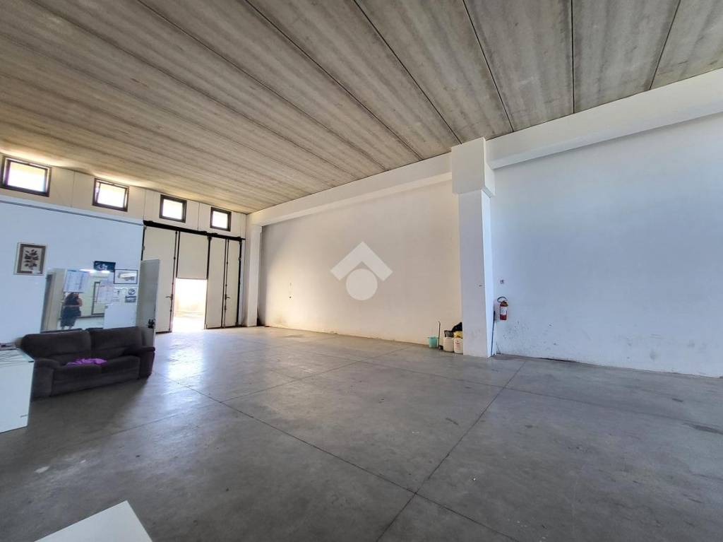 immagine annuncio 2 di 13