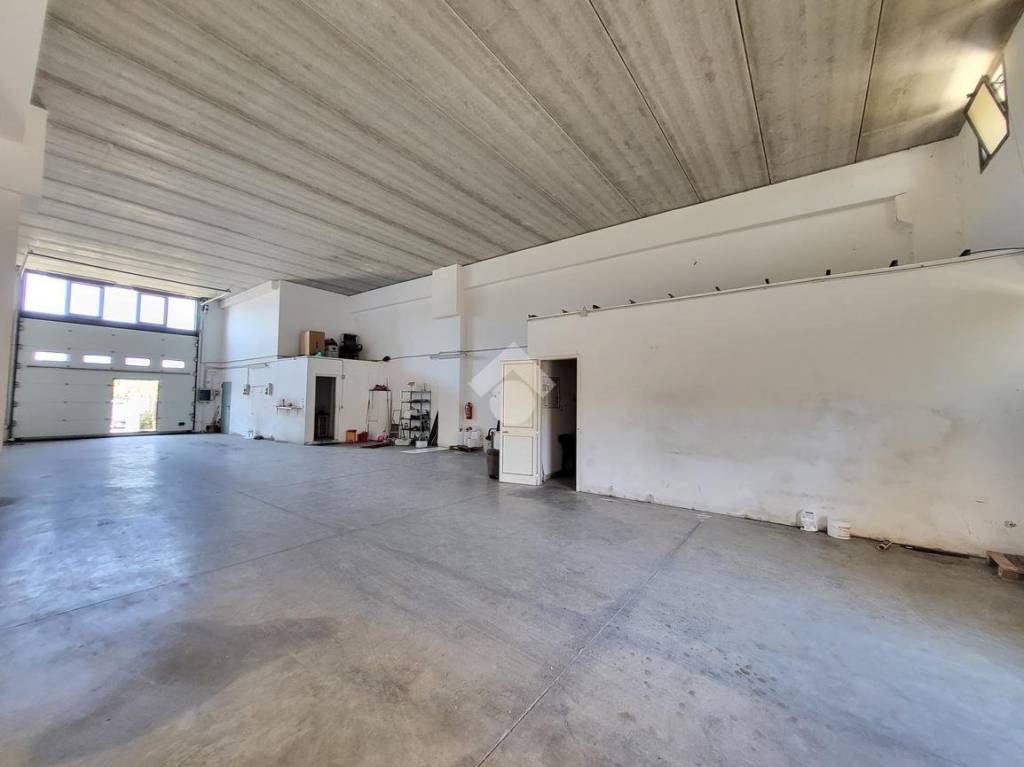 immagine annuncio 5 di 13